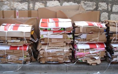 Miért szelektáljunk, miért gyűjtsük és hasznosítsuk újra a papírt?